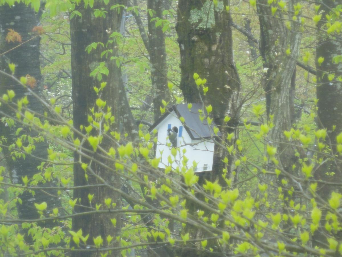 Cozy Inn Antique Nasu Εξωτερικό φωτογραφία